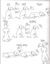 Sign Language For Deaf Dogs Goldenacresdogs Com