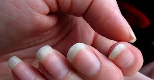 your fingernails grow way faster than