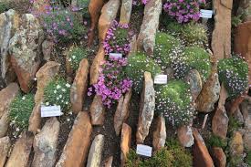 Rockeries Troughs And Crevice Gardens