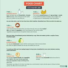 What Is The Food Chart For 6 Months Baby With Timings