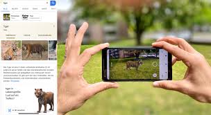 It's the perfect way to visualize things that would be impossible or impractical to see otherwise. Ar Marketing 7 Beispiele Fur Augmented Reality Marketing