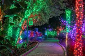 guide to holiday lights around ta bay