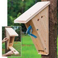 Select Cedar Peterson Bluebird House