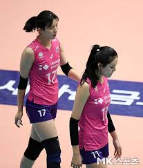 이재영(李在英, 1996년 10월 15일 ~ )은 대한민국의 여자 배구 선수이며, 인천 흥국생명 핑크스파이더스 소속이다. W Fvprriasdhsm
