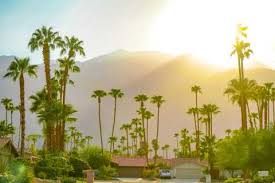 palm springs family friendly activities