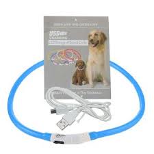 China Led Dog Collar Light Up Night Collar Usb Rechargeable Waterproof China Dog Collar And Led Collars For Dogs Price