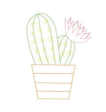 House Plant Style Cactus Pair