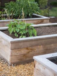 Keep Raised Beds Healthy Archives