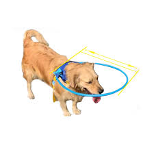 Us 12 2 30 Off Pet Safe Halo Harness For Blind Dogs Blind Pet Anti Collision Ring Scorpion Cataract Animal Protection Circle Guide Dog Harness In