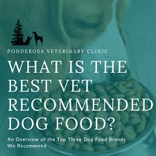 top 3 vet recommended dog food brands