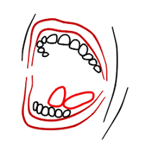The curve of the mouth. How To Draw A Mouth Smiling With Teeth Learn How To Draw