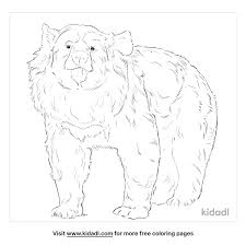 Free, printable coloring pages for adults that are not only fun but extremely relaxing. Asiatic Black Bear Coloring Pages Free Animals Coloring Pages Kidadl