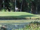 Knobbs Creek Par-3 Golf Course - Reviews & Course Info | TeeOff