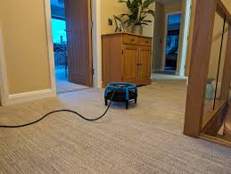 acs carpet upholstery cleaning before