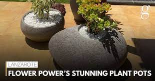 Flower Power S Stunning Plant Pots