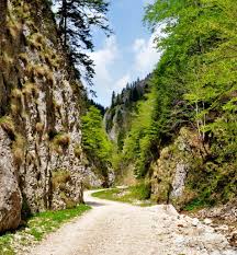 Zarnesti is the starting point for many trips into the piatra craiului national park, and also to plaiul foii. Zarnesti Hostel Boemia 10 Discount Here
