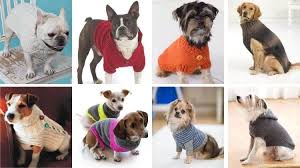 14 Knit Pet Sweater Patterns To Keep