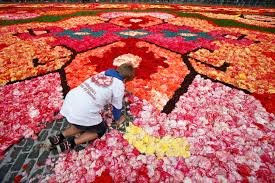 photos giant flower carpet part of