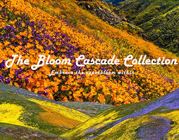 Cascade Projects :: Photos, videos ...