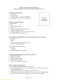 Resume Templates Basic Template Word New Format Download File On