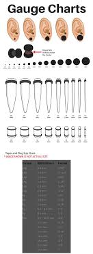 This Chart Shows The Sizes That Most Plugs Tunnels And