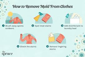 how to remove mold from clothing safely