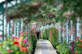 royal greenhouses in laeken the