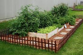 Grow Vegetables In Raised Beds