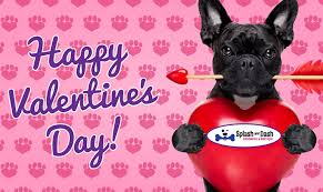 ★ puppy dog valentines day gifts ★ free holiday ecards. Happy Valentine S Day From Splash And Dash Splash And Dash For Dogs