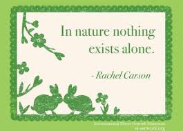 151 Inspiring Environmental Quotes - Conserve Energy Future via Relatably.com