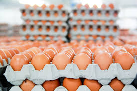 TRỨNG GÀ HÒA PHÁT | Dự kiến đến cuối năm 2021, Hòa Phát sẽ cung cấp ra thị trường khoảng một triệu quả trứng/ngày, đáp ứng nhu cầu về trứng tươi, sạch