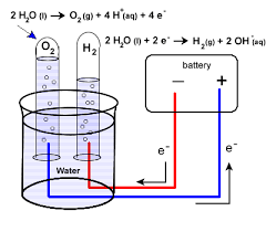 the electrolysis of water