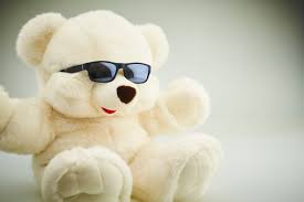 cool stuffed bear royalty free hd stock