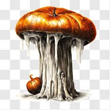 beautiful mushroom on a tree stump png