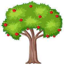 tree clipart images browse 247 556