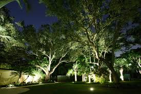 Led Landscape Lighting System For Acre Property In Pinecrest South Florida Miami Landscape Lighting