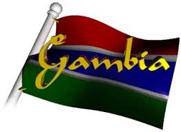 Image result for gambia flag