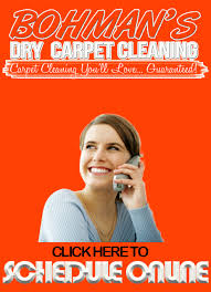 dry organic carpet cleaning in russia