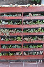vertical pallet planter upcycle that