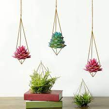 3 pack hanging air plant holder for