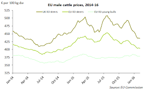 Differing Price Movements On The Eu Male Cattle Market