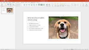 picture in powerpoint remove