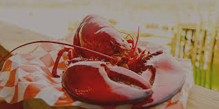 lobster pier maine lobster