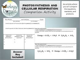 Write the formulas for photosynthesis and cellular respiration . Photosynthesis And Cellular Respiration Comparison Activity With Answer Key Teaching Resources