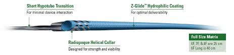 Guidezilla Ii Guide Extension Catheter Boston Scientific