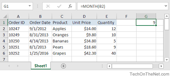 ms excel how to use the month function