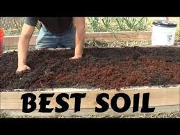 Best Soil For Rasied Garden Bed