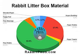 rabbit litter box everything you need