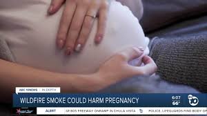 wildfire smoke to pregnancy issues
