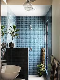 Bathroom Design Ideas Half Wall